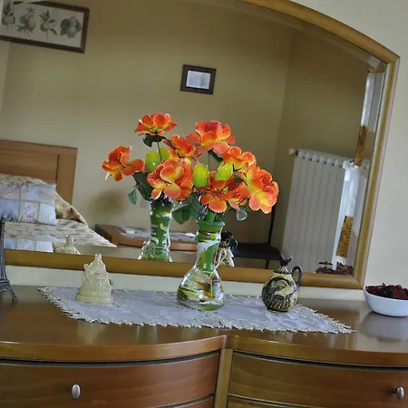 Bed & Breakfast Movida Catania